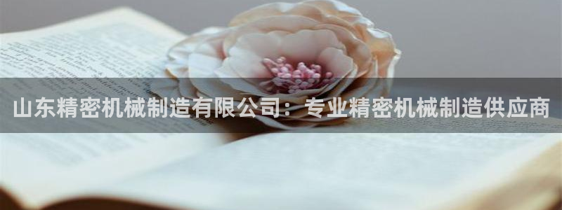 彩神这个平台是真的吗：山东精密机械制造有限公司：专业精密机械制造供应商