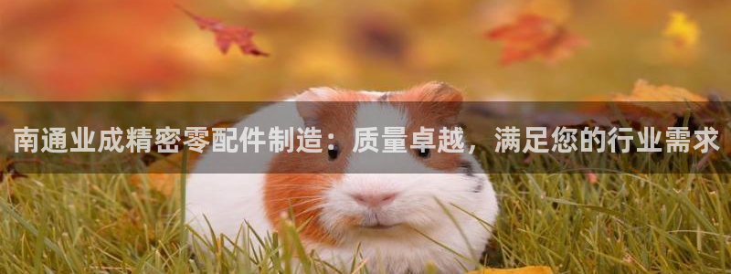 彩神8软件下载：南通业成精密零配件制造：质量卓越，满足您的行业需求