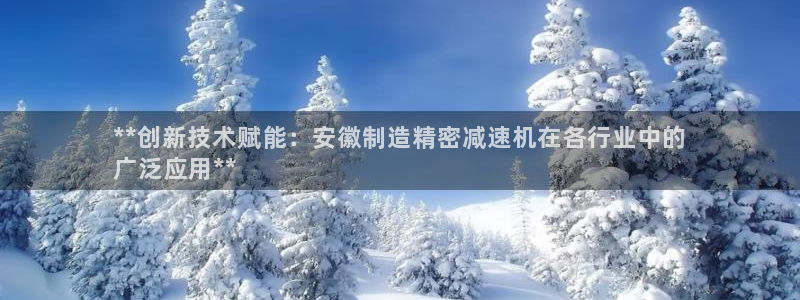 彩神v8客户端：**创新技术赋能：安徽制造精密减速机在各行业中的
广泛应用**