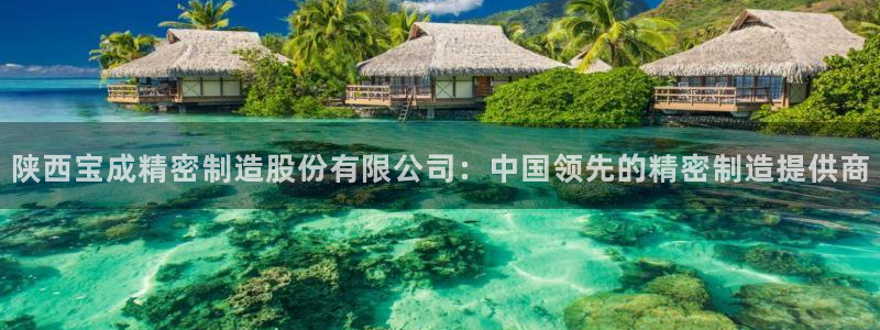 彩神app赚钱是真是假：陕西宝成精密制造股份有限公司：中国领先的精密制造提供商