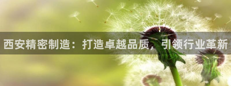 彩神viii下载安卓