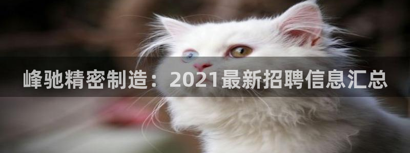 彩神v8官网版：峰驰精密制造：2021最新招聘信息汇总