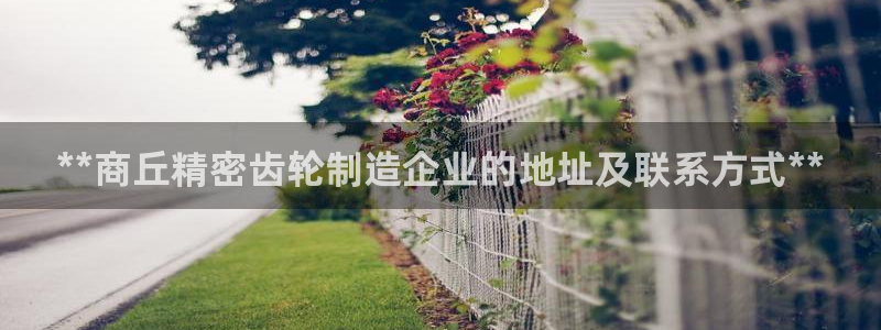 彩神8官网下：**商丘精密齿轮制造企业的地址及联系方式**