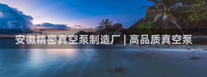 彩神vii手游下载：安徽精密真空泵制造厂 | 高品质真空泵