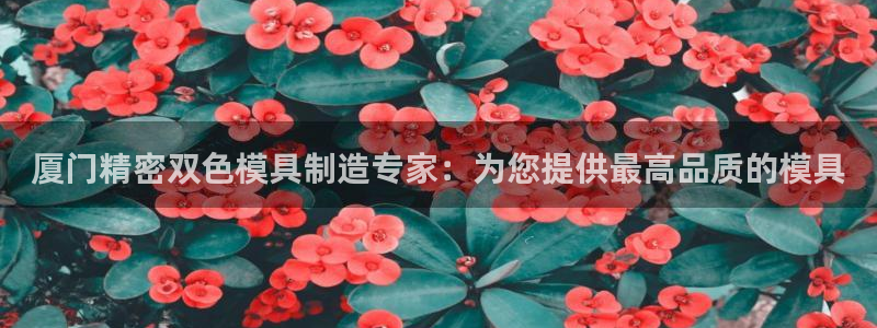彩神到底能不能赚钱