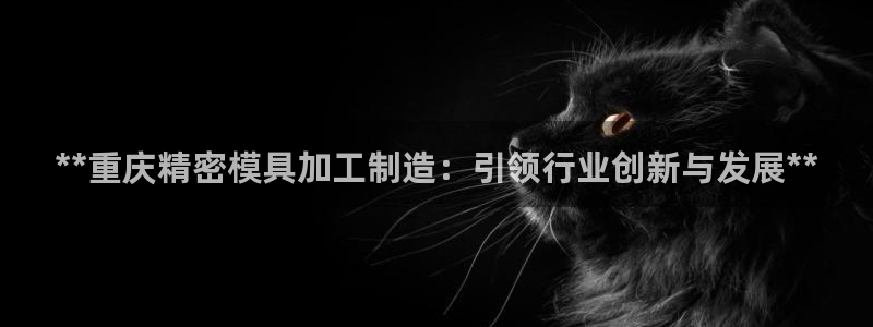v大发彩神8iii：**重庆精密模具加工制造：引领行业创新与发展**