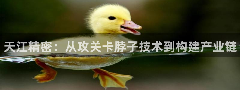 彩神可以提现吗：天江精密：从攻关卡脖子技术到构建产业链
