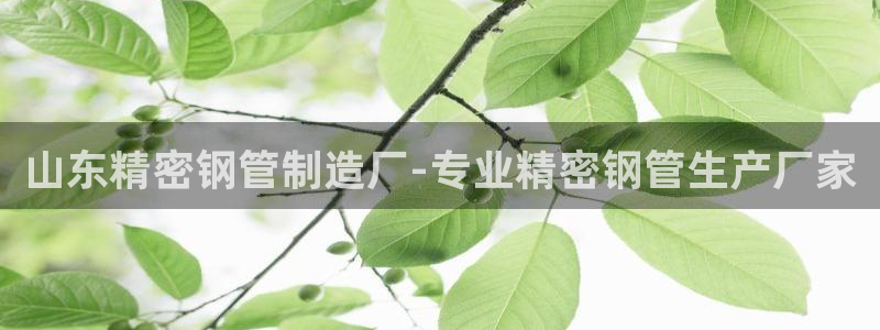 彩神是什么平台的游戏