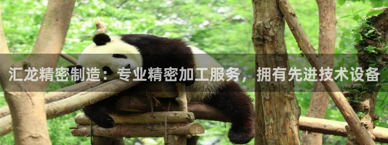 彩神v8是真的挣钱吗安全吗：汇龙精密制造：专业精密加工服务，拥有先进技术设备