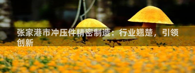 彩神正规吗