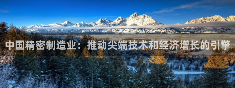 彩神V集团公司：中国精密制造业：推动尖端技术和经济增长的引擎