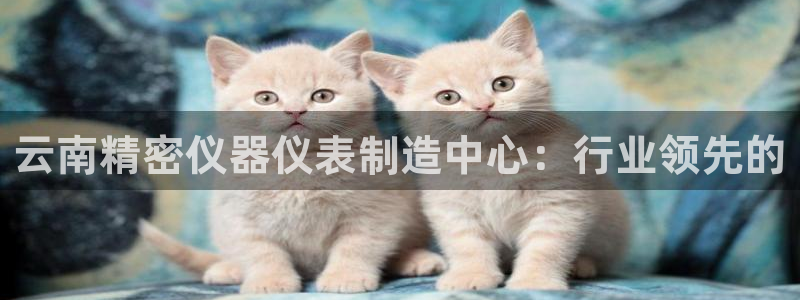 彩神平台：云南精密仪器仪表制造中心：行业领先的