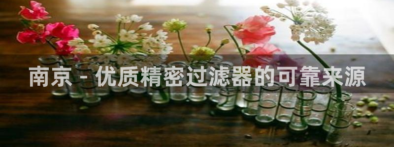 彩神旗下有哪些平台可以玩：南京 - 优质精密过滤器的可靠来源