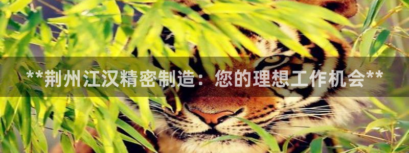 彩神v违法么：**荆州江汉精密制造：您的理想工作机会**