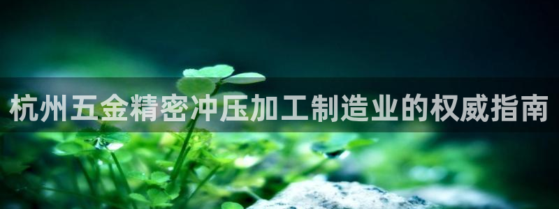 彩神v彩搜狗：杭州五金精密冲压加工制造业的权威指南