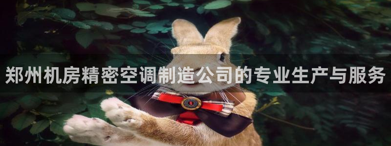 彩神怎么才能赢：郑州机房精密空调制造公司的专业生产与服务