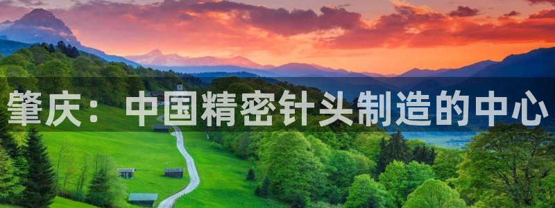 彩神8官网合法吗