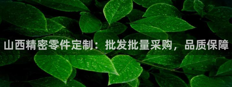 彩神8是正规平台吗安全吗：山西精密零件定制：批发批量采购，品质保障