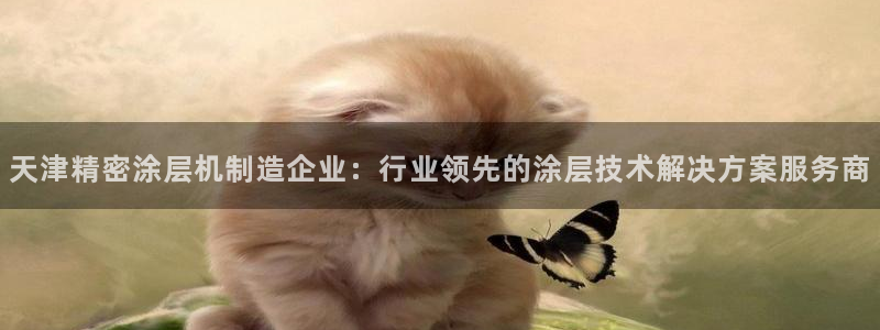 彩神是正规平台吗安全吗