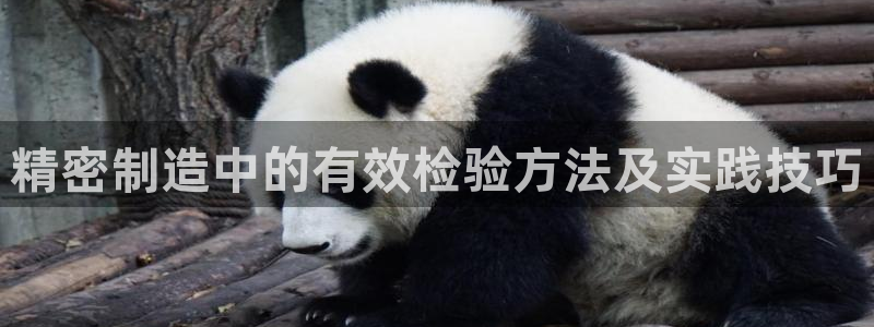 彩神vll购彩大厅大众