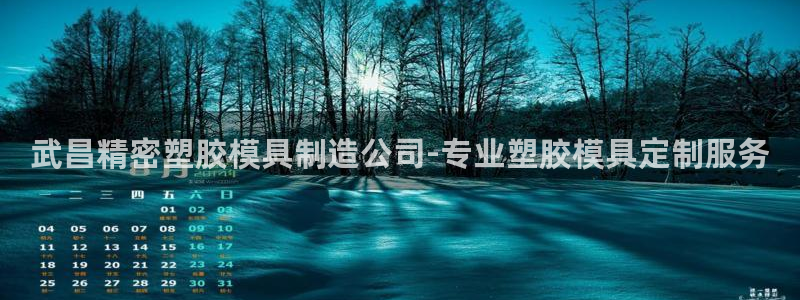 彩神V官网：武昌精密塑胶模具制造公司-专业塑胶模具定制服务