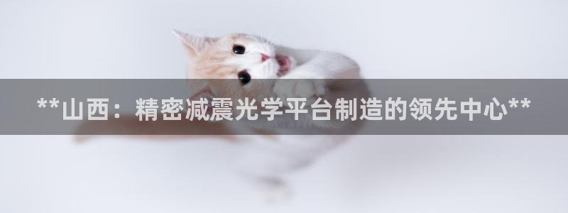 彩神V8平台：**山西：精密减震光学平台制造的领先中心**