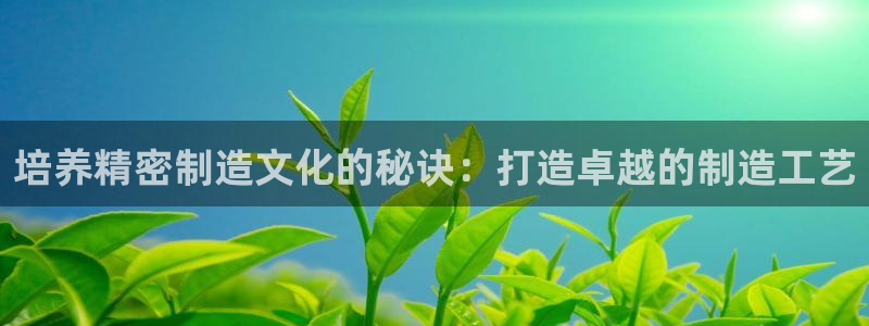 彩神赢的钱是哪里来的：培养精密制造文化的秘诀：打造卓越的制造工艺