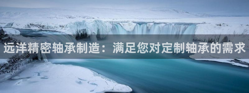 彩神ix能赚钱吗：远洋精密轴承制造：满足您对定制轴承的需求