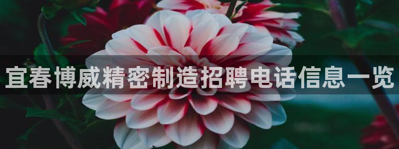 彩神怎么才能赢：宜春博威精密制造招聘电话信息一览