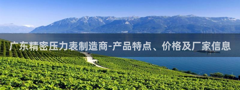 彩神v网赌软件下载：广东精密压力表制造商-产品特点、价格及厂家信息