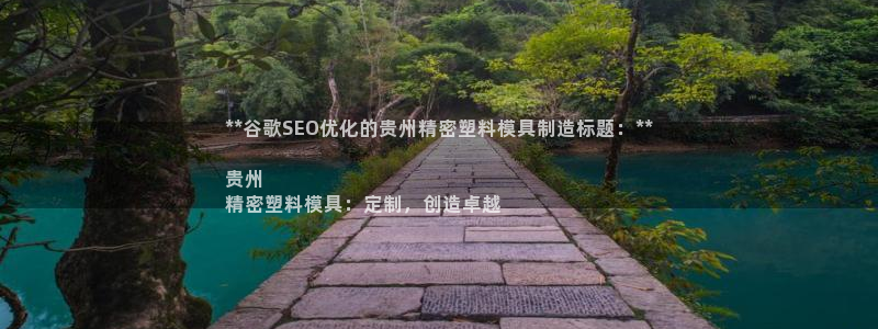 有谁知道彩神争霸的网址：**谷歌SEO优化的贵州精密塑料模具制造标题：**

贵州
精密塑料模具：定制，创造卓