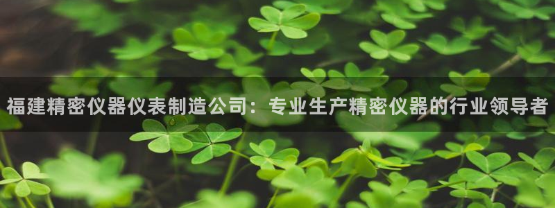 彩神是怎样一个平台：福建精密仪器仪表制造公司：专业生产精密仪器的行业领导者