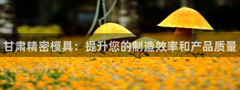 彩神v8平台正规吗可靠吗：甘肃精密模具：提升您的制造效率和产品质量