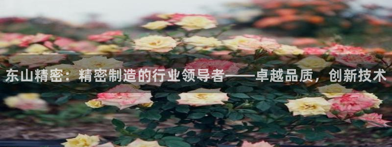 彩神购彩-购彩大厅入口娱乐首选