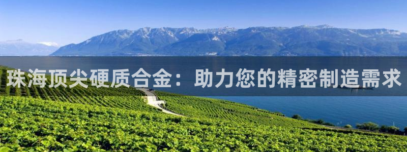 彩神vlll游戏特色：珠海顶尖硬质合金：助力您的精密制造需求