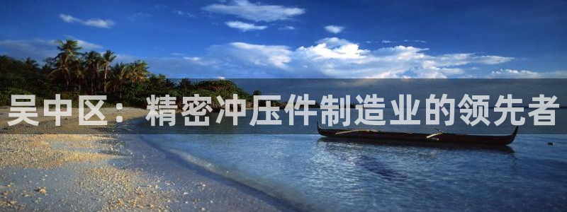 彩神vllⅰ购彩大厅：吴中区：精密冲压件制造业的领先者