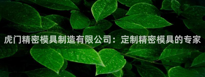 彩神vlll游戏特色：虎门精密模具制造有限公司：定制精密模具的专家