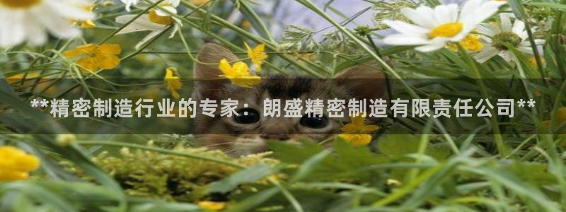彩神ix可靠吗：**精密制造行业的专家：朗盛精密制造有限责任公司**