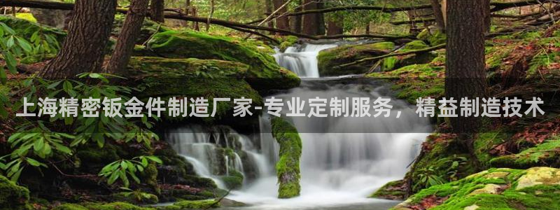 彩神趣购彩用户注册：上海精密钣金件制造厂家-专业定制服务，精益制造技术