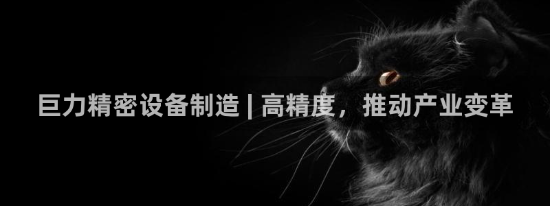 下载彩神乐发V1：巨力精密设备制造 | 高精度，推动产业变革