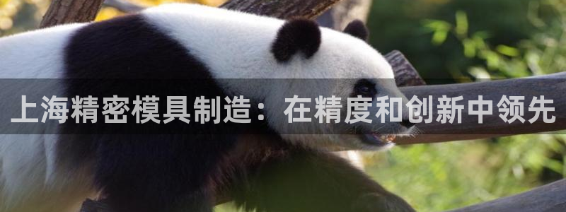 彩神v1官网：上海精密模具制造：在精度和创新中领先