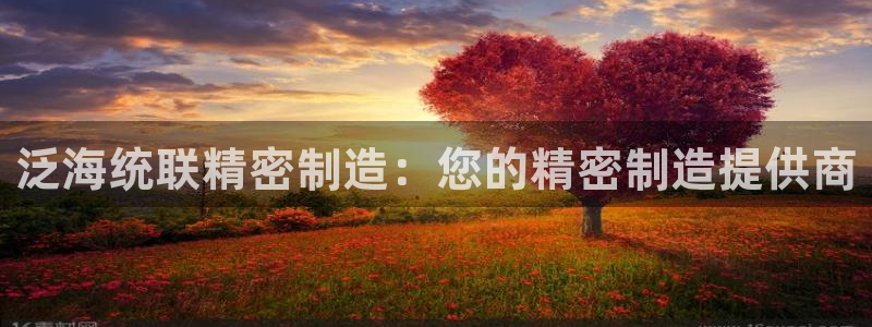 彩神vii购彩l心：泛海统联精密制造：您的精密制造提供商