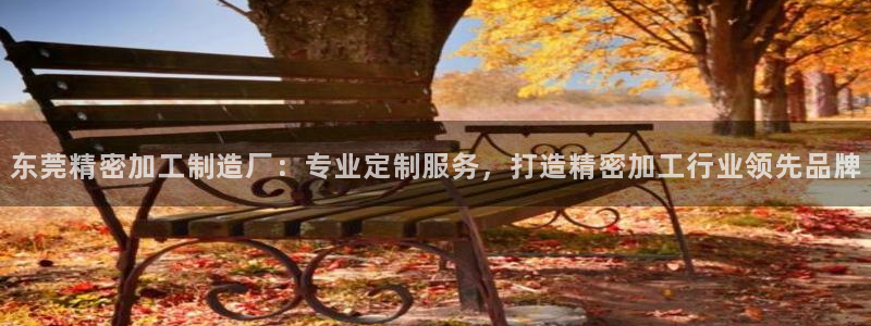 彩神v8首页：东莞精密加工制造厂：专业定制服务，打造精密加工行业领先品牌