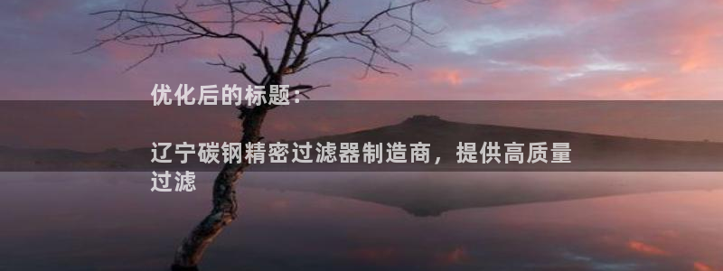 彩神v8平台正规吗：优化后的标题：

辽宁碳钢精密过滤器制造商，提供高质量
过滤