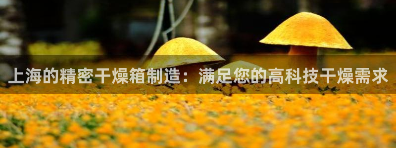 彩神ⅴll用户登录：上海的精密干燥箱制造：满足您的高科技干燥需求