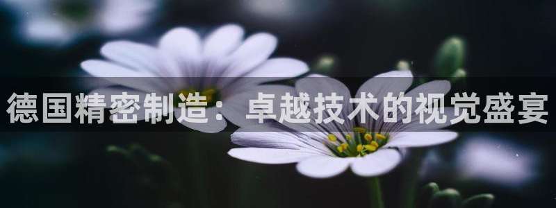 彩神平台是真的吗：德国精密制造：卓越技术的视觉盛宴