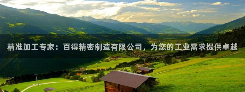 彩神官方网站登录是多少：精准加工专家：百得精密制造有限公司，为您的工业需求提供卓越

