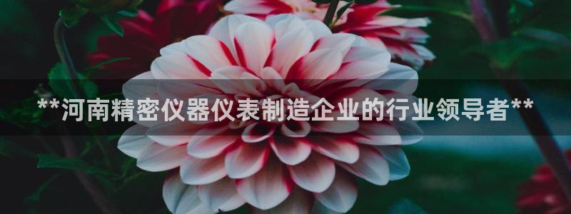 彩神v8是一个什么平台：**河南精密仪器仪表制造企业的行业领导者**