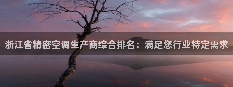 彩神vip官方网站：浙江省精密空调生产商综合排名：满足您行业特定需求