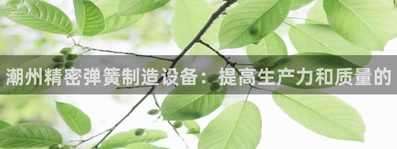 大发彩神官网下载：潮州精密弹簧制造设备：提高生产力和质量的